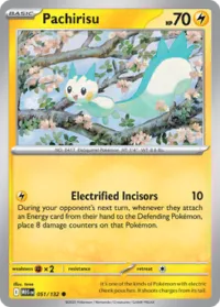 Pachirisu