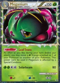 Meganium